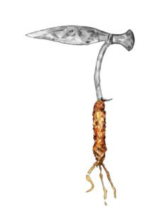 Fang, throwing knife 21, Gabon