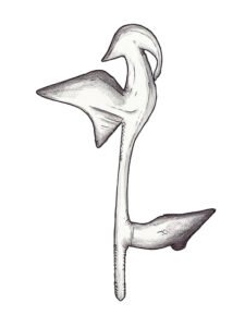 Sangha, throwing knife 12, Congo Brazzaville