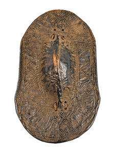Bouclier Ingessana 02