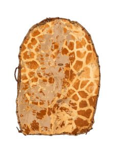 Bouclier Wadaï 02