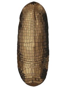 Bouclier Shilluk 01